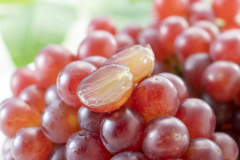 デラウェア